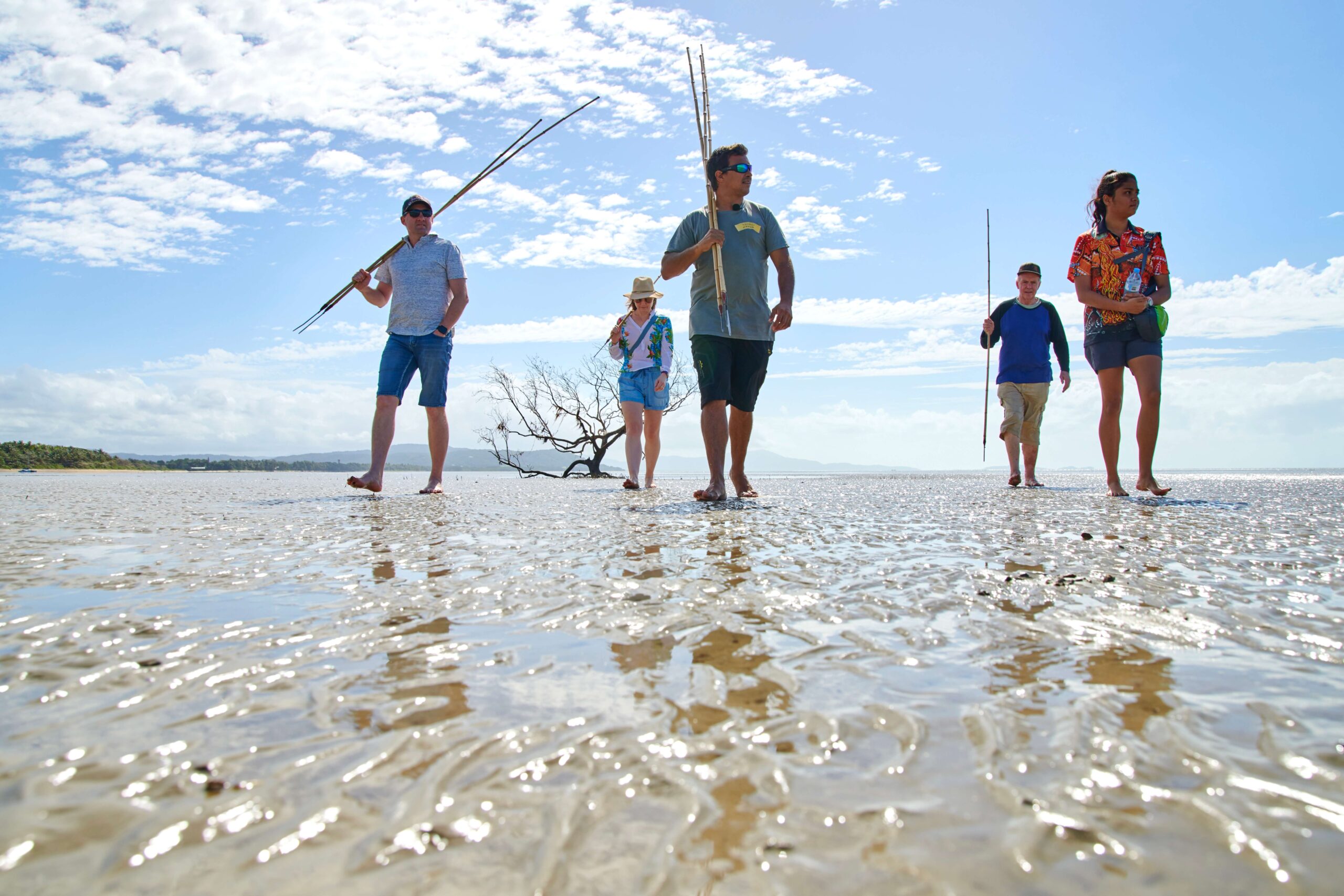 Southern Daintree Rainforest Guided Tour Walkabout Cultural Adventures