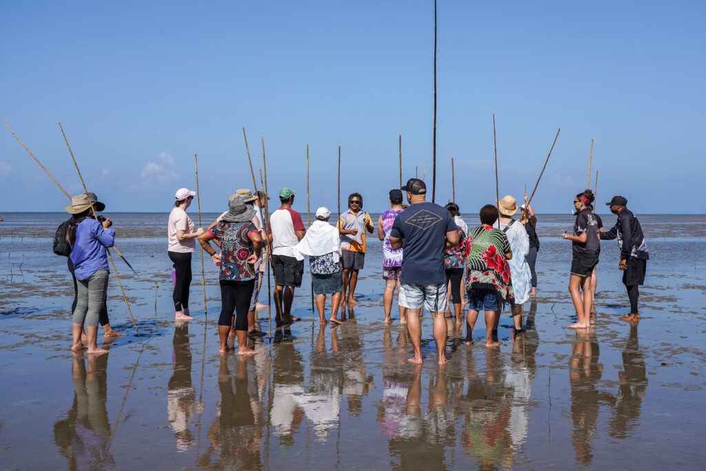 learn the art of spearing with walkabout tours