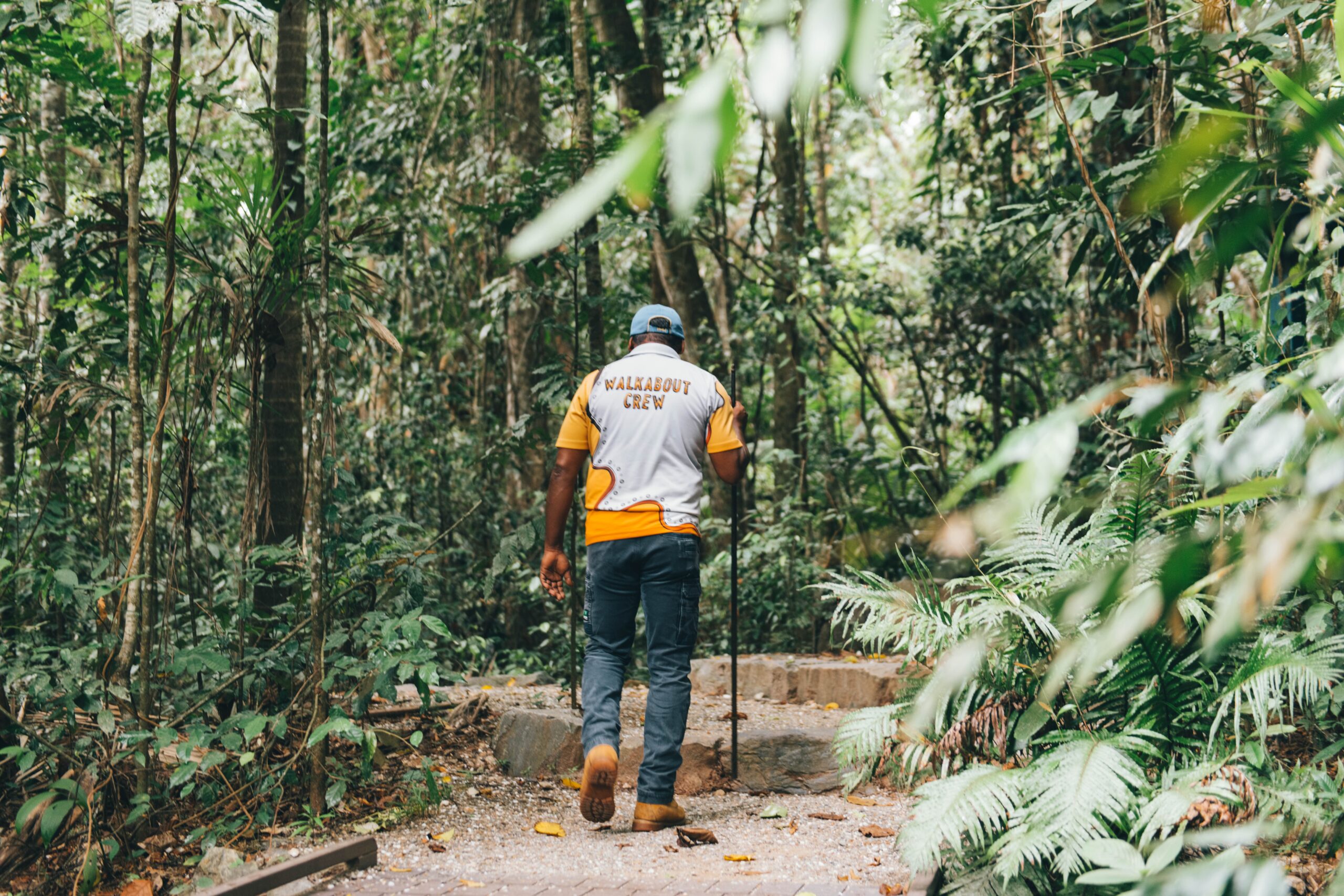 Indigenous cultural tours mossman