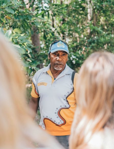 tour guide walkabout cultural tours